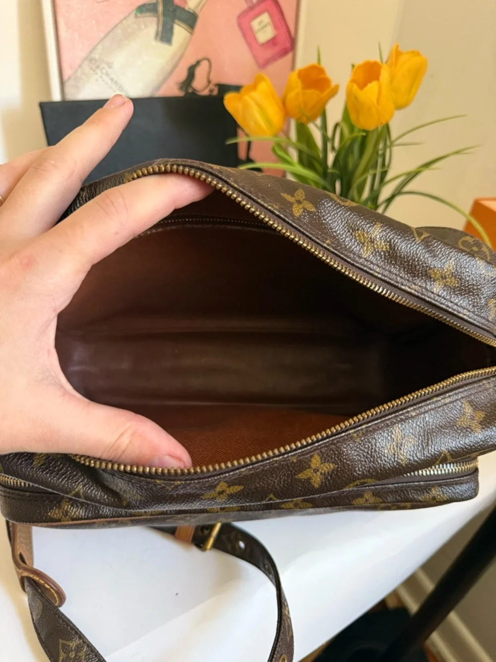 Louis Vuitton Nile Monogram Canvas Messenger Bag - Picture 11 of 14